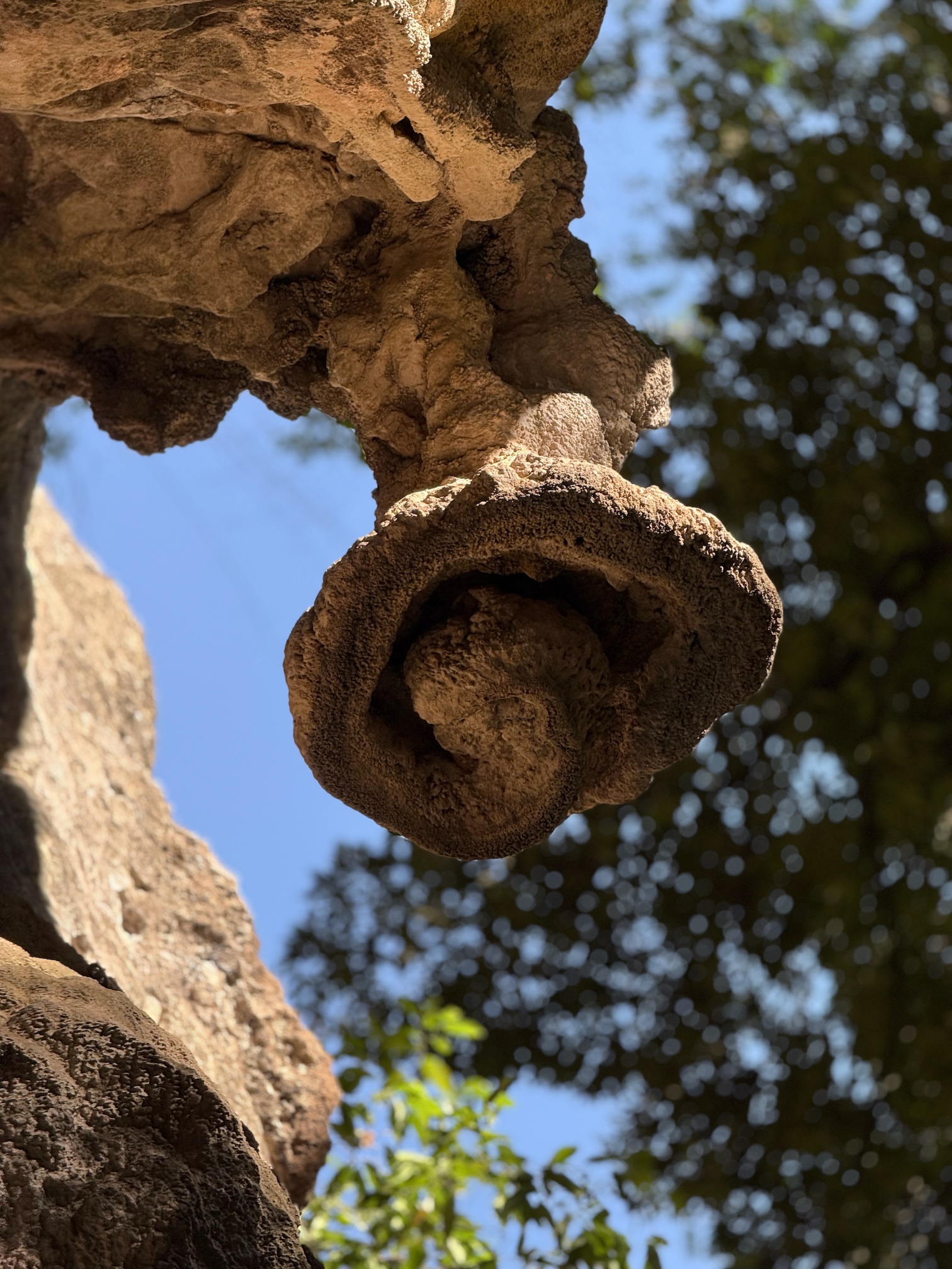 climbing-laos-green-climbers-home-11 climbing-laos-green-climbers-home-11